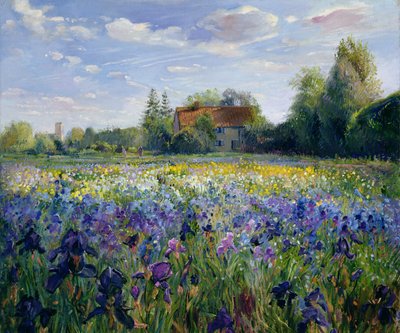 Evening at the Iris Field by Timothy Easton